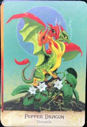 Field Guide to Garden Dragons